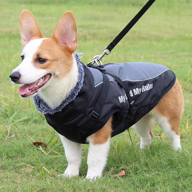 Winter Dog Coat with Harness – Warm Padded Jacket for Big Dogs