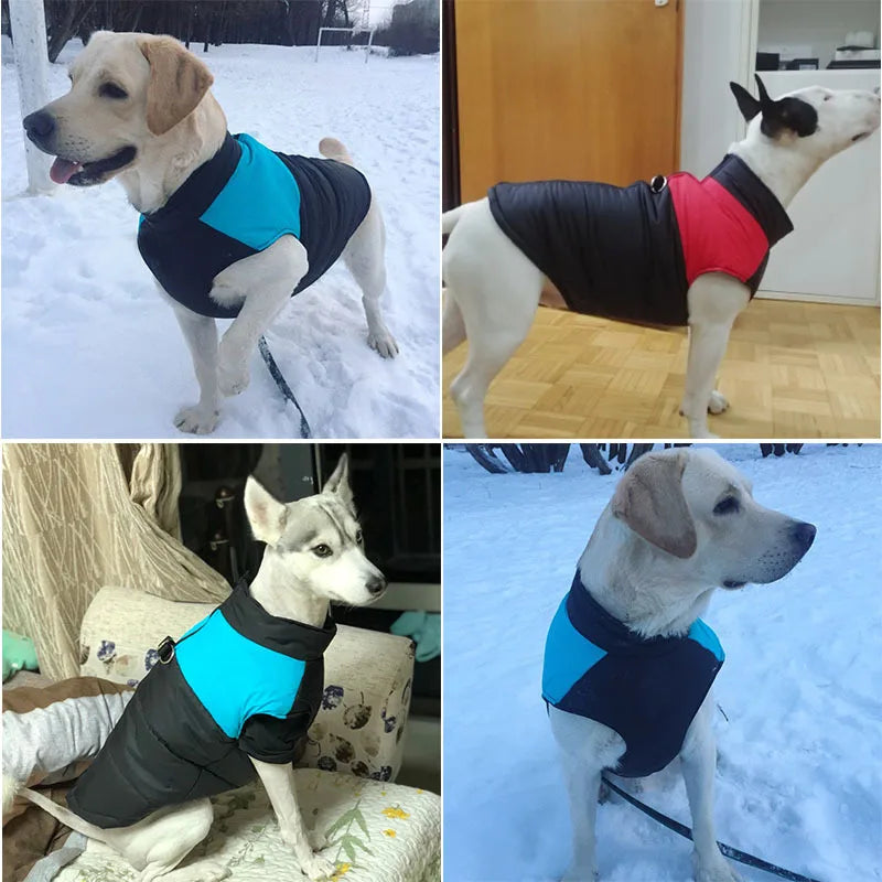 Waterproof Padded Dog Jacket - Winter Zipper Vest for Dogs