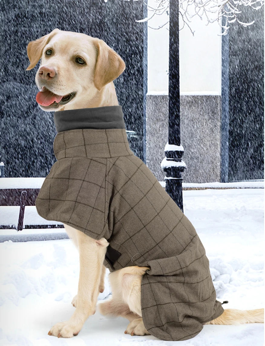 British Style Plaid Dog Jacket – Warm Adjustable Winter Coat