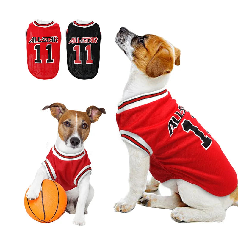 PawBreeze Sport Tee - Breathable Summer