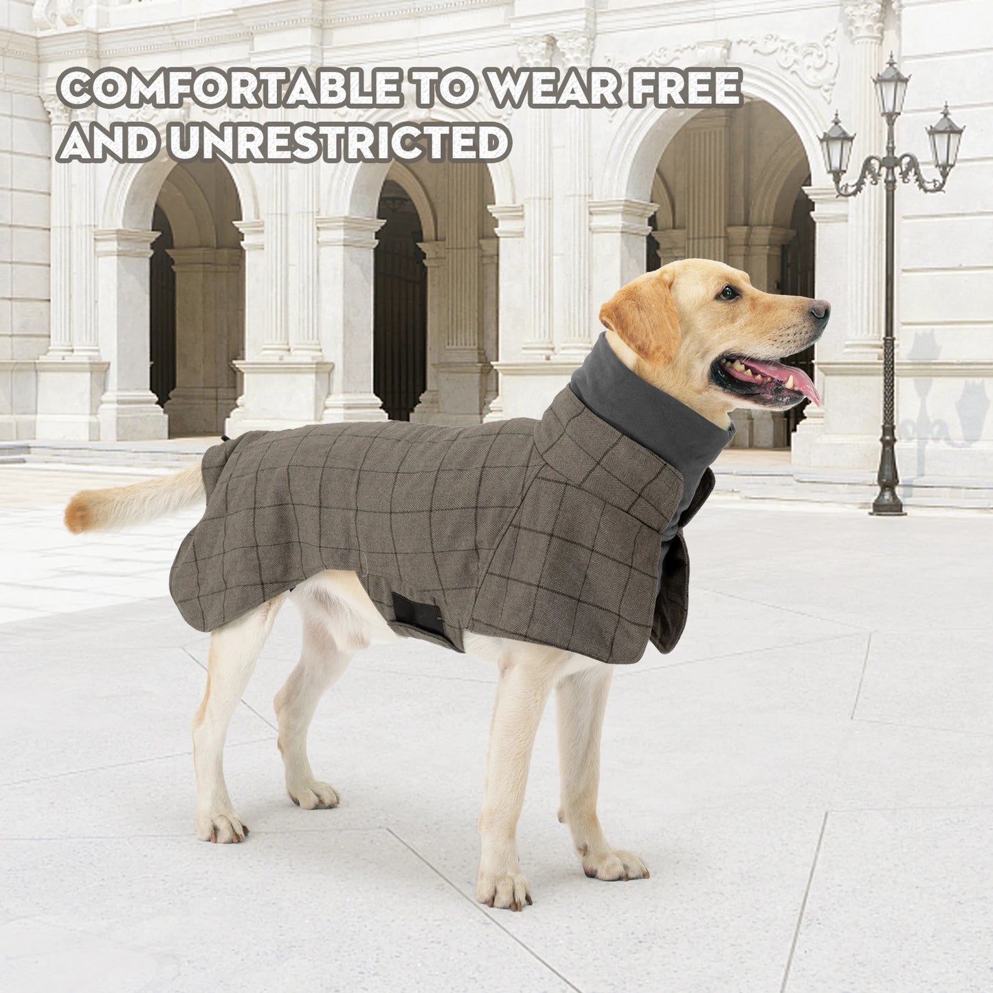 British Style Plaid Dog Jacket – Warm Adjustable Winter Coat