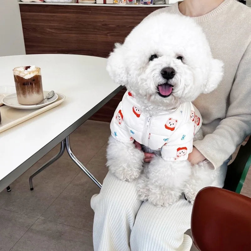 Style Bear Print Pet Coat – Warm Cotton Winter Outfit