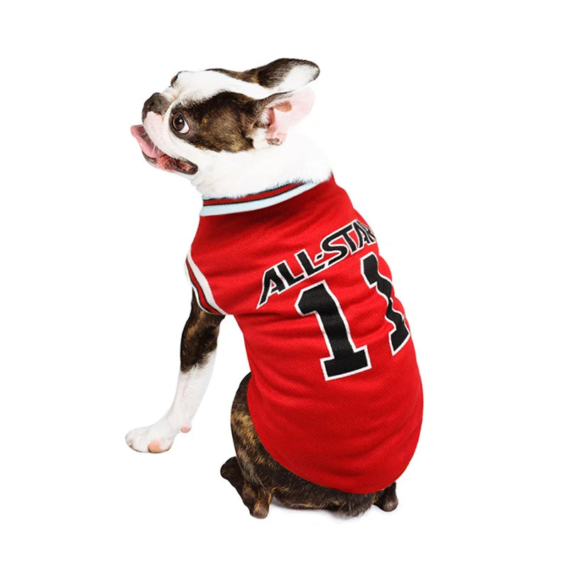 PawBreeze Sport Tee - Breathable Summer
