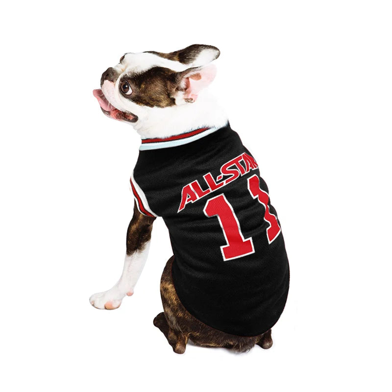 PawBreeze Sport Tee - Breathable Summer