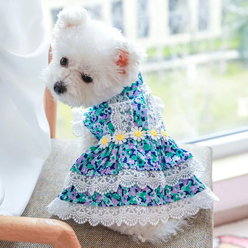 RoyalPaws™ Daisy Tutu - Elegant Pet Dress