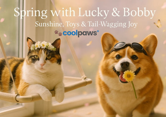 Spring Whispers And Your Pet Hears It First