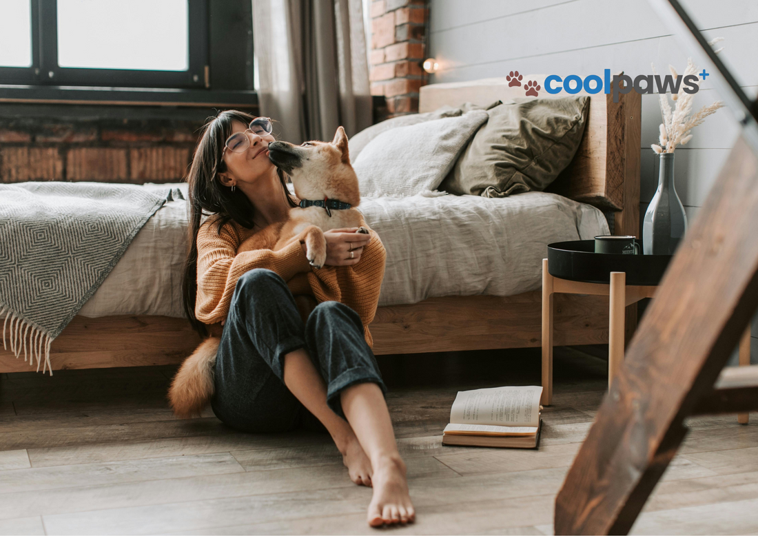 7 Decor & Gadget Must-Haves for Pet Lovers Who Love Their Space