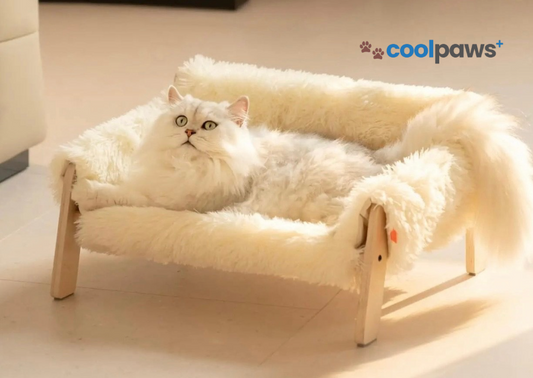 5 Pet Products Going Viral Right Now Is Your Furry Friend Missing Out?