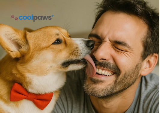The Mystery Behind the Morning Lick - Why Does Your Dog Greet You With a Slobbery Kiss Every Day?