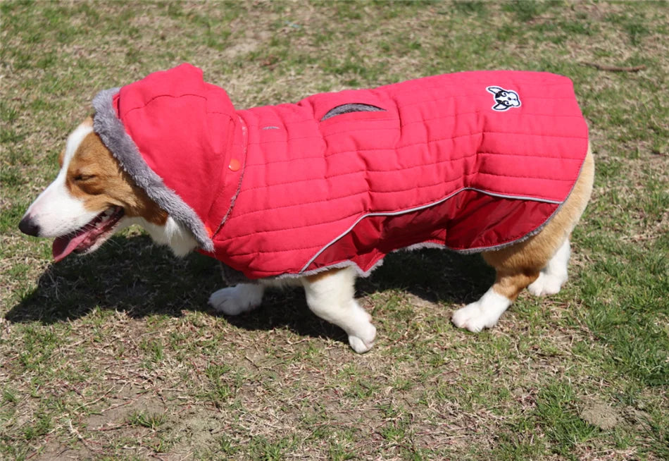 Thick Fleece Winter Dog Jacket – Reflective & Adjustable Coat