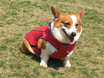 Thick Fleece Winter Dog Jacket – Reflective & Adjustable Coat