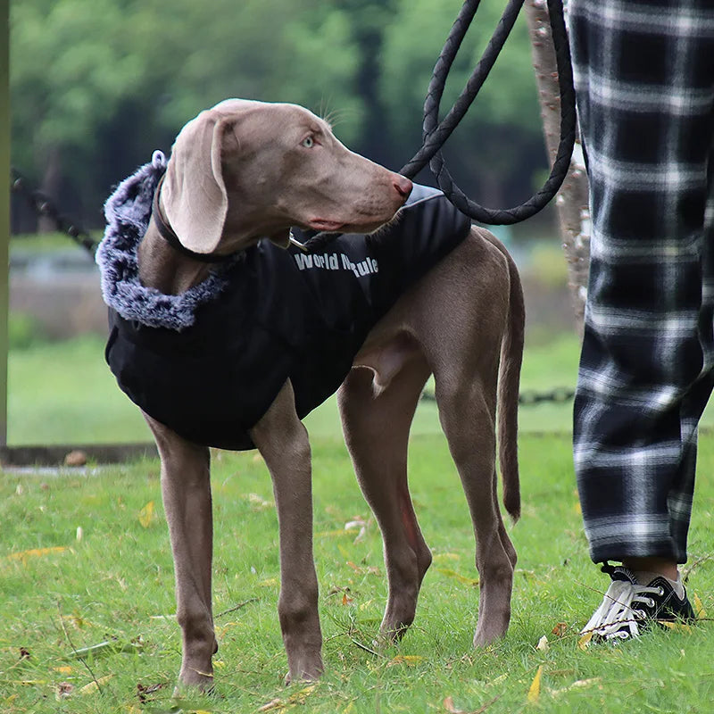 Winter Dog Coat with Harness – Warm Padded Jacket for Big Dogs