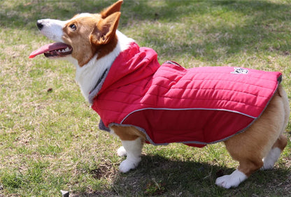 Thick Fleece Winter Dog Jacket – Reflective & Adjustable Coat