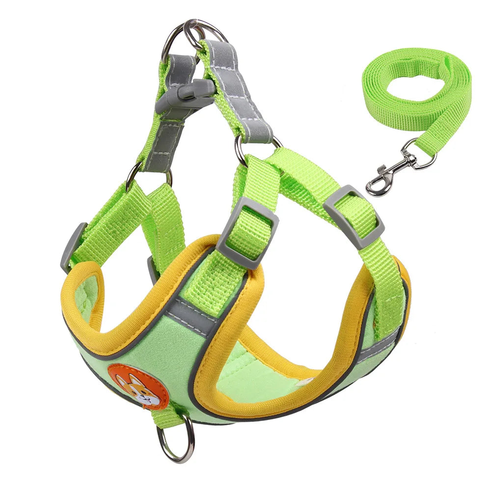 No Pull Reflective Dog Harness & Leash Set – Small Pets