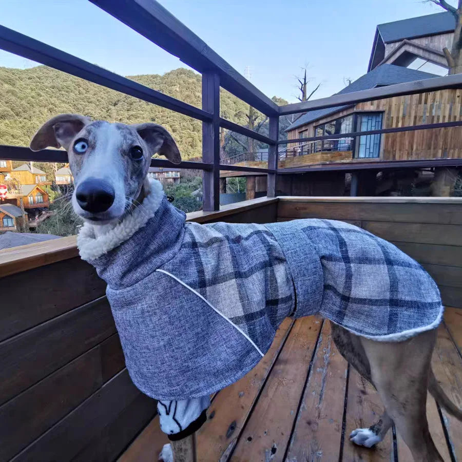 Plaid Winter Dog Jacket – Reflective & Windproof