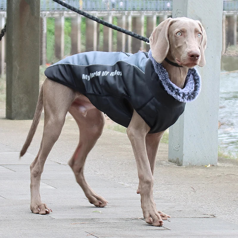 Winter Dog Coat with Harness – Warm Padded Jacket for Big Dogs
