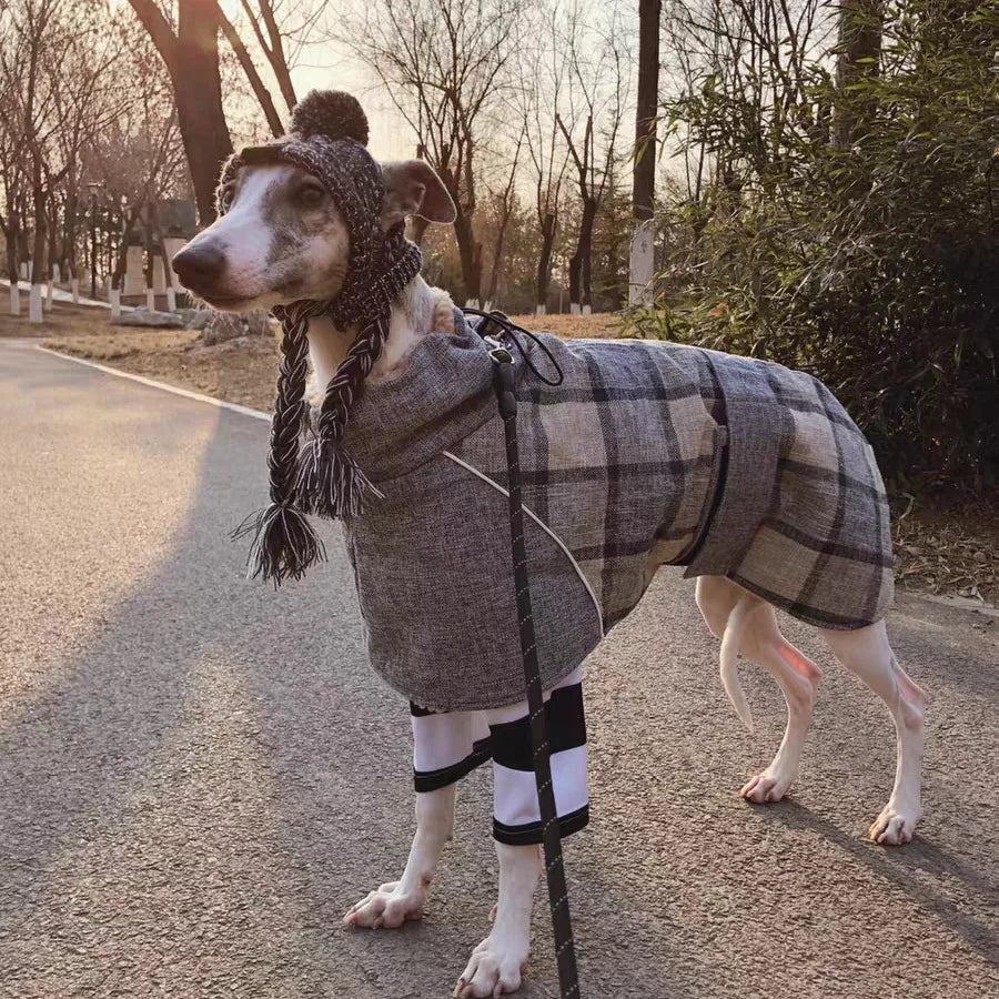 Plaid Winter Dog Jacket – Reflective & Windproof