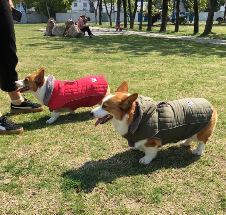 Thick Fleece Winter Dog Jacket – Reflective & Adjustable Coat