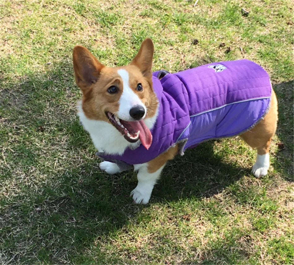 Thick Fleece Winter Dog Jacket – Reflective & Adjustable Coat