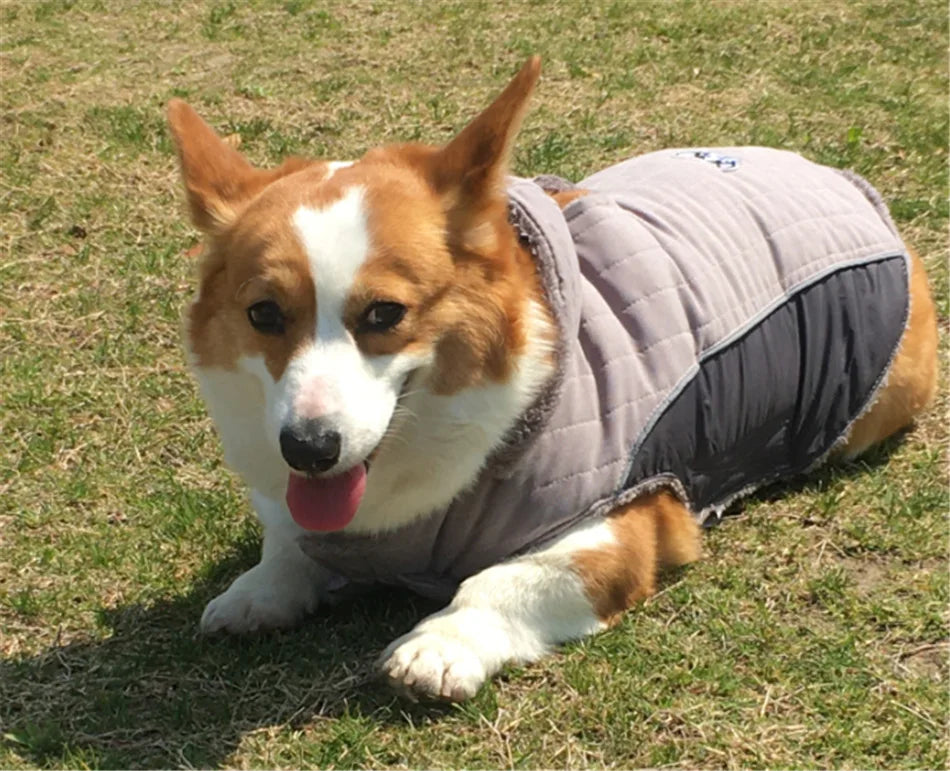 Thick Fleece Winter Dog Jacket – Reflective & Adjustable Coat
