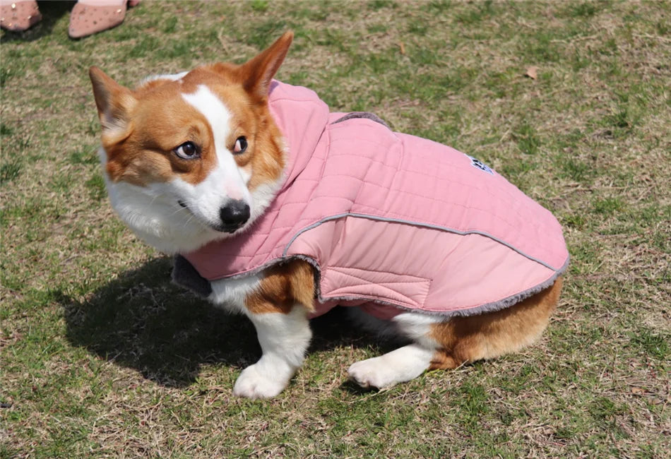 Thick Fleece Winter Dog Jacket – Reflective & Adjustable Coat