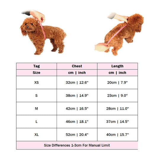 Princess Fancy Dog Dress – Luxury Autumn Outfit for Small Dogs