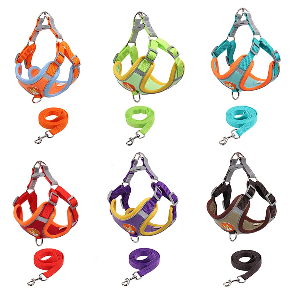 No Pull Reflective Dog Harness & Leash Set – Small Pets