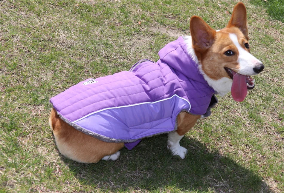 Thick Fleece Winter Dog Jacket – Reflective & Adjustable Coat