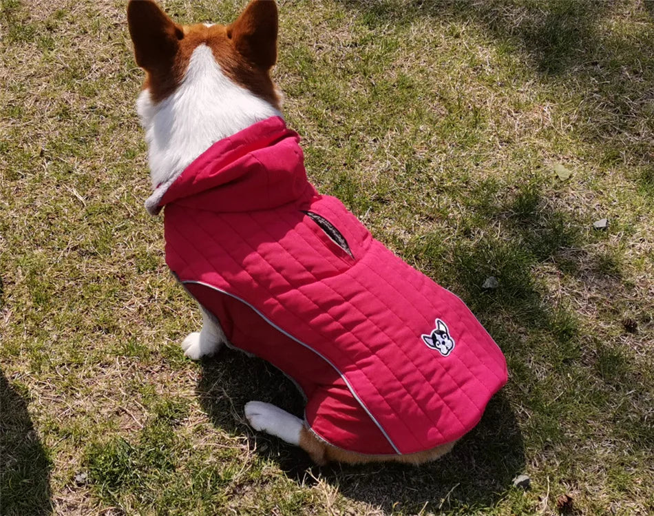 Thick Fleece Winter Dog Jacket – Reflective & Adjustable Coat