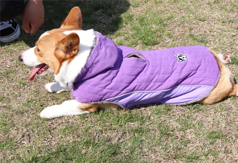 Thick Fleece Winter Dog Jacket – Reflective & Adjustable Coat