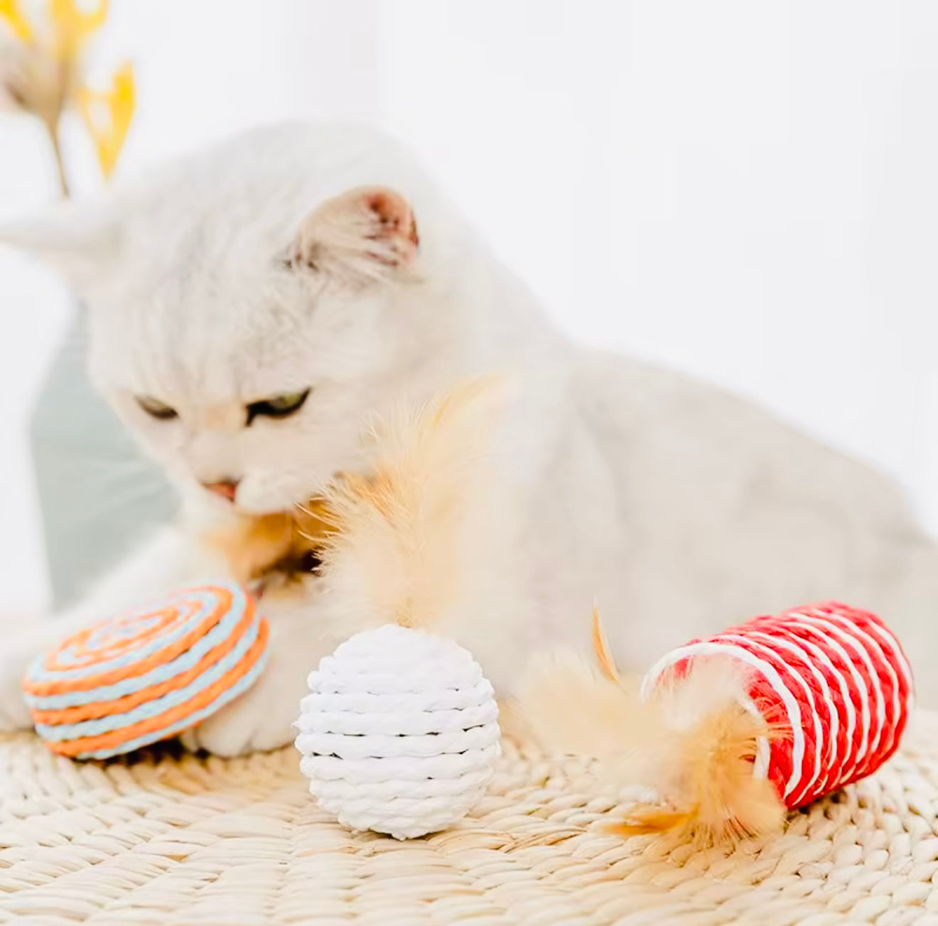 Interactive Cat Toy Set – Rods with Fleece Mouse Toys