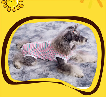 Striped Dog Recovery Suit – Soft Post-Surgery Shirt for Small Dogs