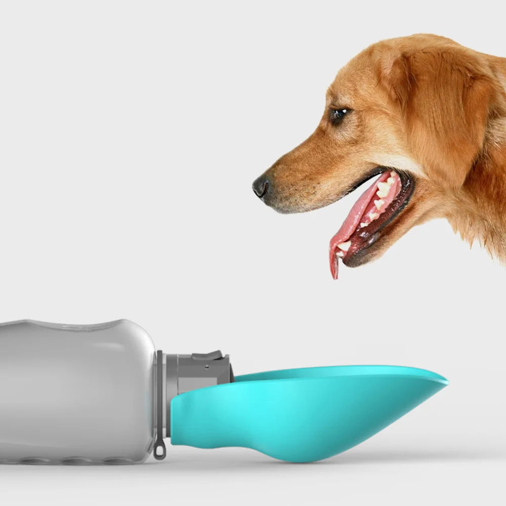 PawBreeze Hydration Bottle - Leakproof Travel Dispenser