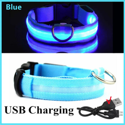 LED Dog Collar – USB Rechargeable, Adjustable & Glowing