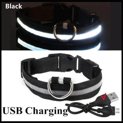 LED Dog Collar – USB Rechargeable, Adjustable & Glowing
