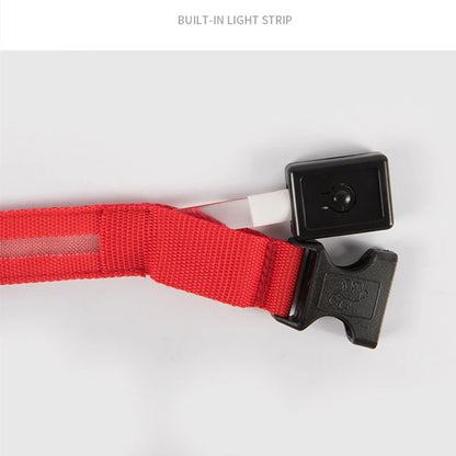 LED Dog Collar – USB Rechargeable, Adjustable & Glowing