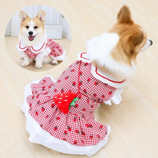 Strawberry Plaid Dog Dress – Spring & Summer Outfit