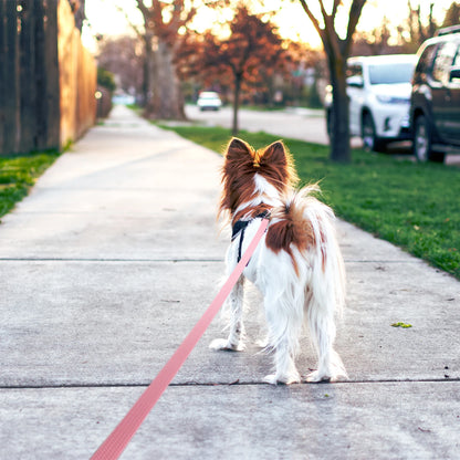 Waterproof PVC Dog Leash – Long, Non-Slip Training Lead