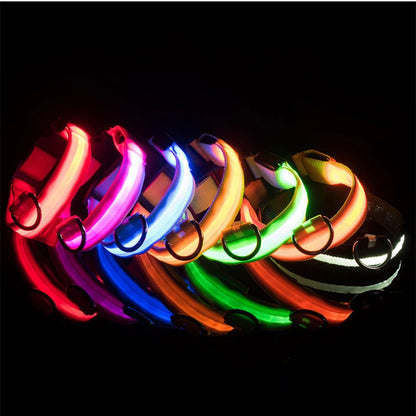 LED Dog Collar – USB Rechargeable, Adjustable & Glowing