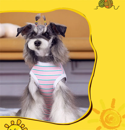 Striped Dog Recovery Suit – Soft Post-Surgery Shirt for Small Dogs