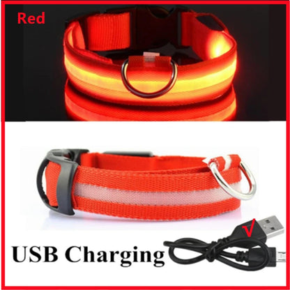 LED Dog Collar – USB Rechargeable, Adjustable & Glowing