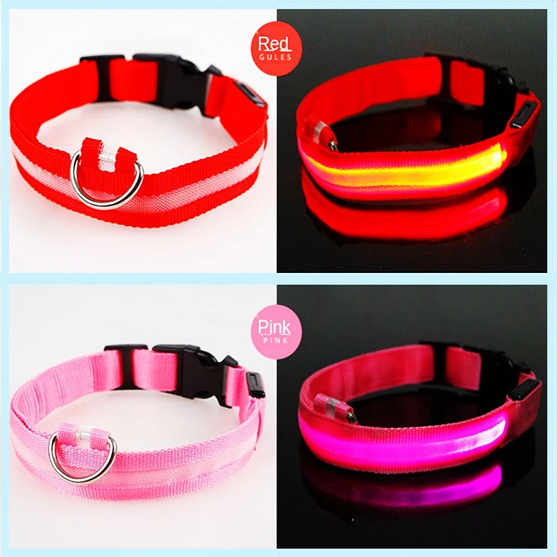 LED Dog Collar – USB Rechargeable, Adjustable & Glowing