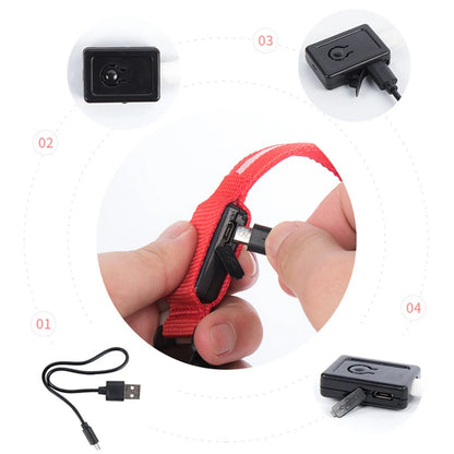 LED Dog Collar – USB Rechargeable, Adjustable & Glowing