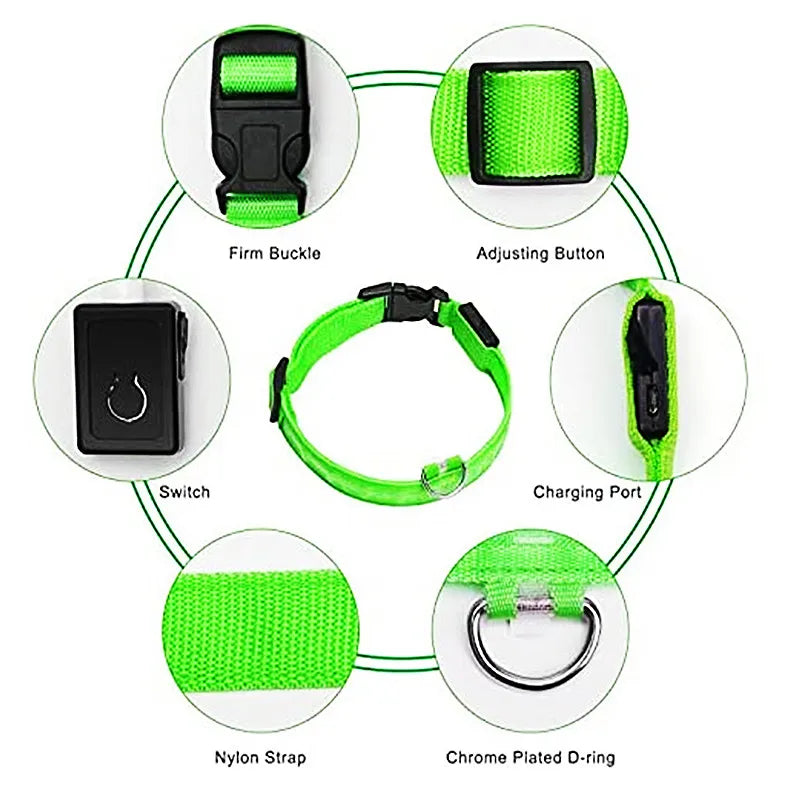 LED Dog Collar – USB Rechargeable, Adjustable & Glowing