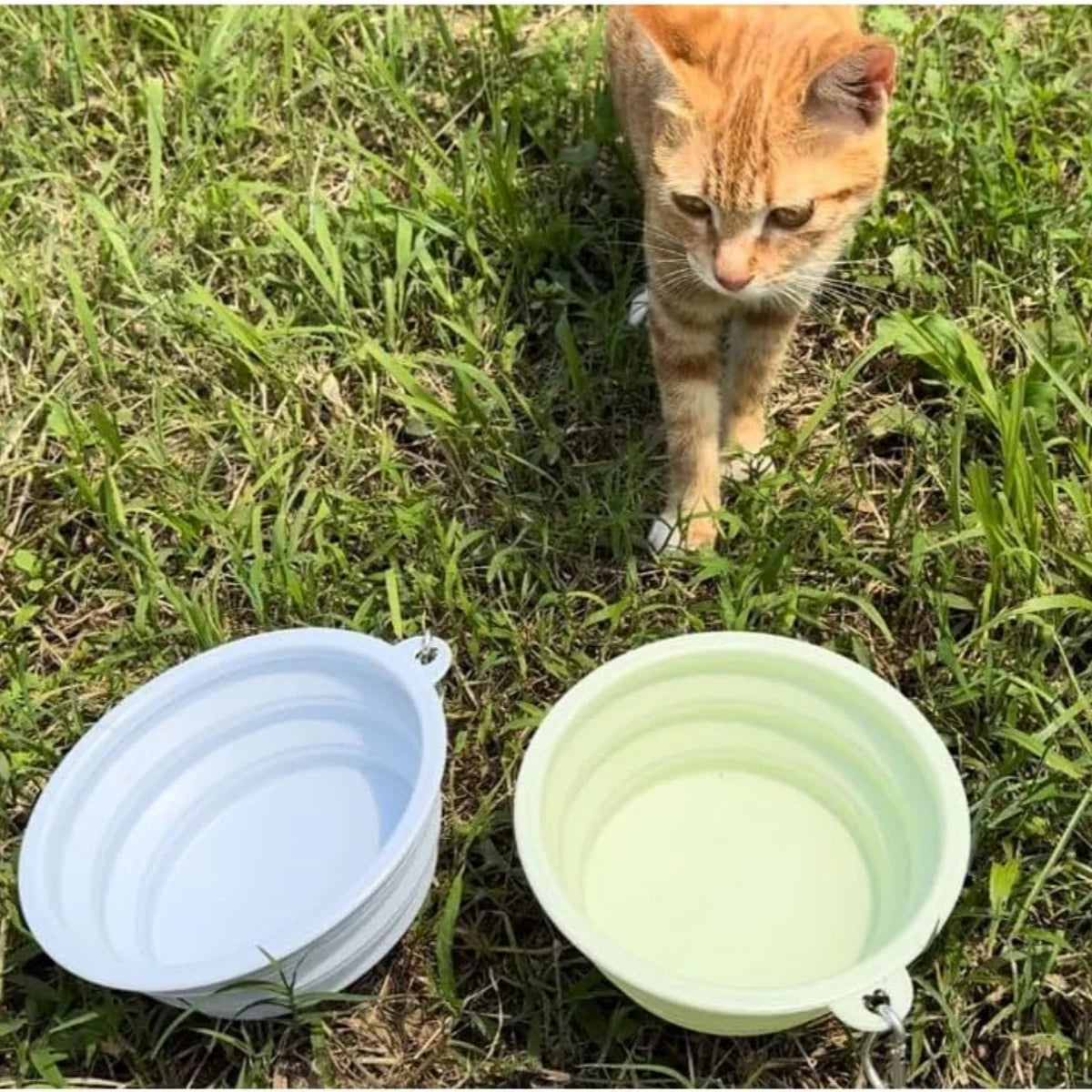 PawSip™ Travel Bowls - Collapsible 2-Pack