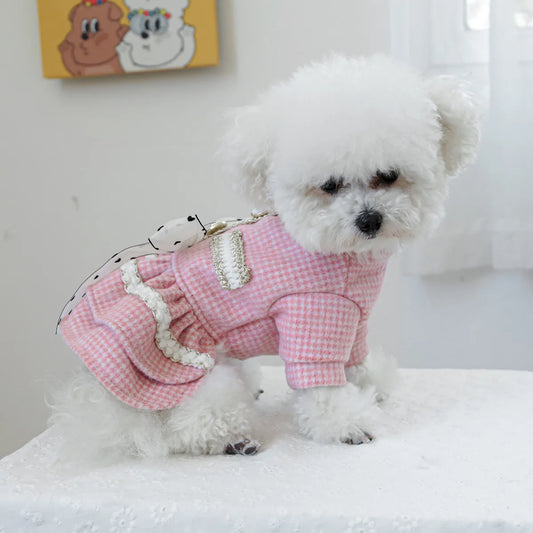 Princess Fancy Dog Dress – Luxury Autumn Outfit for Small Dogs