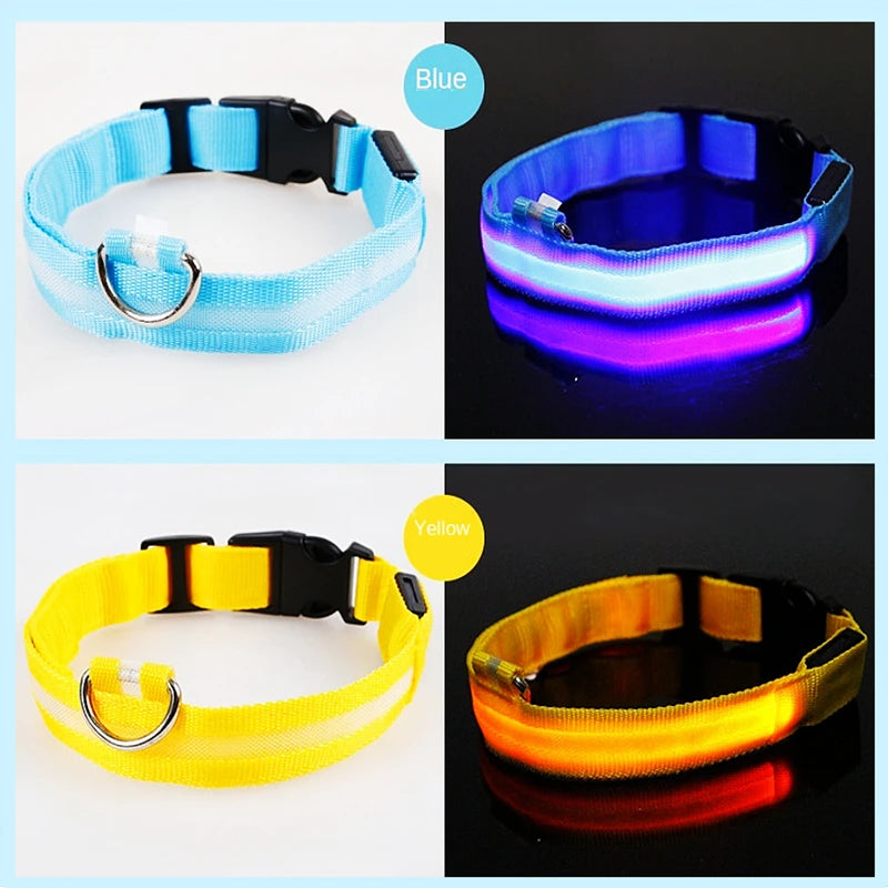LED Dog Collar – USB Rechargeable, Adjustable & Glowing
