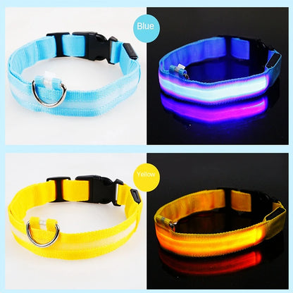 LED Dog Collar – USB Rechargeable, Adjustable & Glowing