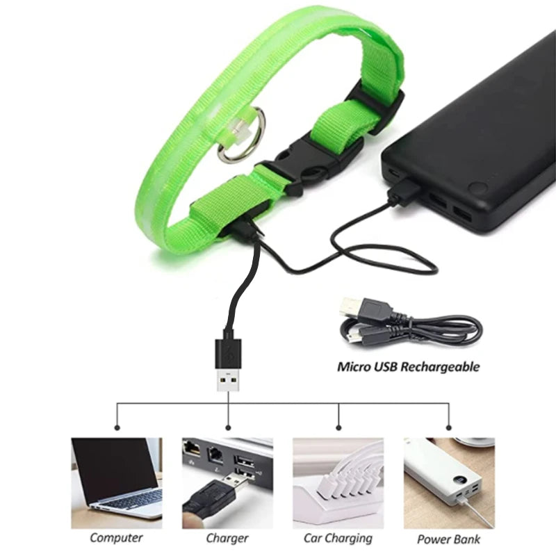 LED Dog Collar – USB Rechargeable, Adjustable & Glowing