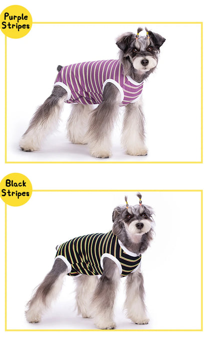 Striped Dog Recovery Suit – Soft Post-Surgery Shirt for Small Dogs